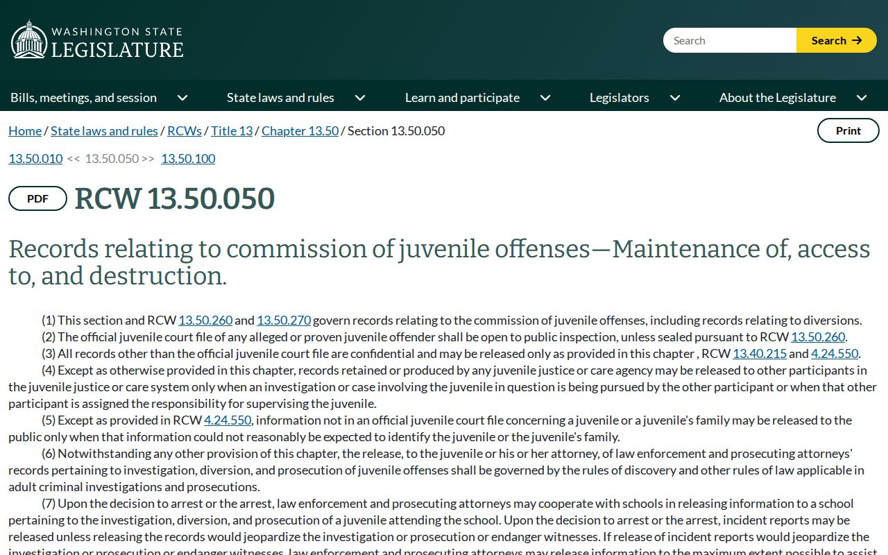 Mason County criminal docket juvenile confidentiality statute
